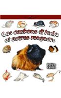 Les Cochons D'Inde Et Autres Rongeurs