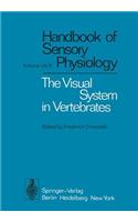 Visual System in Vertebrates