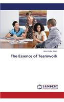 Essence of Teamwork