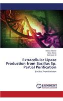 Extracellular Lipase Production from Bacillus Sp. Partial Purification