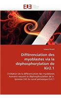 Diff?renciation Des Myoblastes Via La D?phosphorylation de Kir2.1