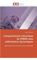 Comportement mécanique du pmma sous sollicitations dynamiques