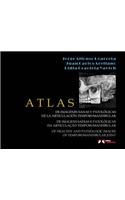 Atlas