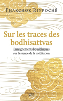 Sur Les Traces Des Bodhisattvas