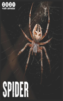 Spider 2021 Wall Calendar: 2021 Wall Calendar 18 Months Spider