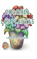 Colorea las plantas