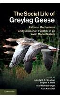 Social Life of Greylag Geese