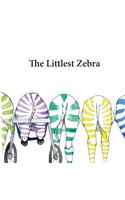 Littlest Zebra