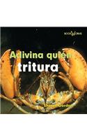 Adivina Quien Tritura