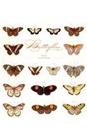Butterflies 2019 Wall Calendar