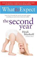 What to Expect: The Second Year