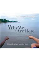 Why We Are Here