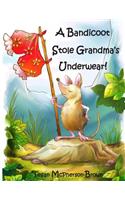 Bandicoot Stole Grandma's Underwear!