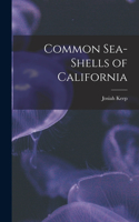 Common Sea-shells of California