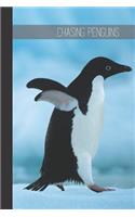 Chasing Penguins