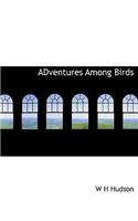 Adventures Among Birds