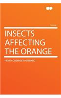Insects Affecting the Orange
