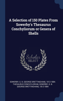 Selection of 150 Plates From Sowerby's Thesaurus Conchyliorum or Genera of Shells