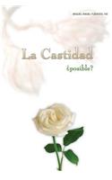 La Castidad ¿Posible?