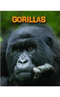 Living in the Wild Primates Gorillas