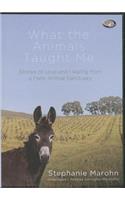 What the Animals Taught Me