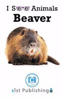 Beaver