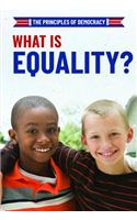 What Is Equality?: (Principles of Democracy)