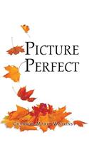 Picture Perfect
