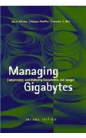 Managing Gigabytes
