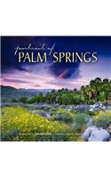 Portrait of Palm Springs