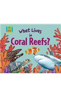 What Lives in Coral Reefs?