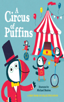 Circus of Puffins