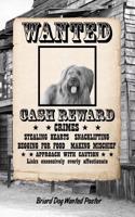 Briard Dog Wanted Poster