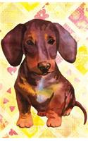 Journal Notebook For Dog Lovers Dachshund Puppy: Blank Journal To Write In, Unlined For Journaling, Writing, Planning and Doodling, For Women, Men, Kids, 160 Pages, Easy To Carry Size(32 Blank Journal Notebook)