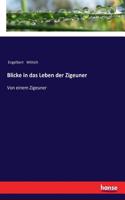 Blicke in das Leben der Zigeuner