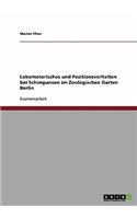 Lokomotorisches und Positionsverhalten bei Schimpansen im Zoologischen Garten Berlin