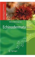 Echinodermata