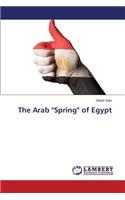 Arab "Spring" of Egypt