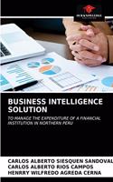 Business Intelligence Solution
