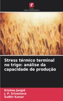 Stress térmico terminal no trigo