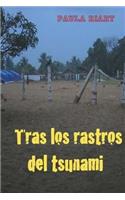 Tras los rastros del tsunami