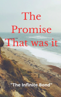 The Promise that was it