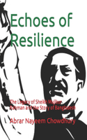 Echoes of Resilience