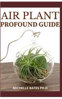 Air Plant Profound Guide