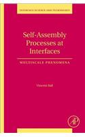 Self-Assembly Processes at Interfaces: Volume 21 Multiscale Phenomena(Volume 21 Interface Science and Technology)