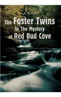 Foster Twins In The Mystery at Red Bud Cove