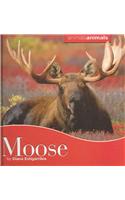 Moose