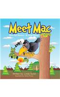 Meet Mac - Our Pet Raven - A True Story