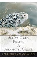 Snowy Owls, Egrets, and Unexpected Graces