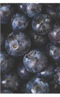 Blueberry Journal